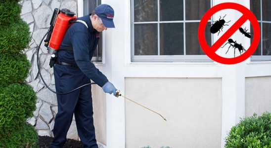 Karkamış Gümüşkurt İlaçlama böcek ilaçlama ve haşere kontrolü — ilaclama-tr.com
